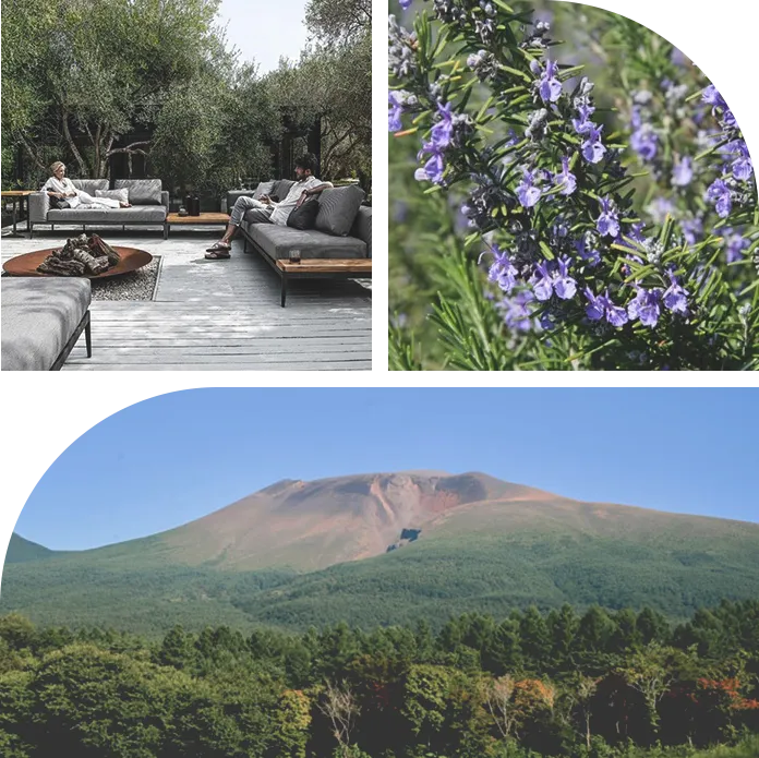 画像:テラス、風景